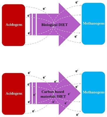 Additives as a Support Structure for Specific Biochemical Activity Boosts in Anaerobic Digestion: A Review